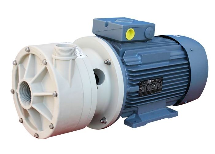 Debem Pumps